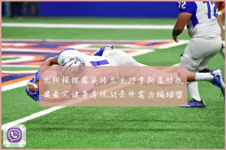 太阳报披露英格兰主帅索斯盖特改建豪宅健身房规划条件需为蝙蝠留栖息空间